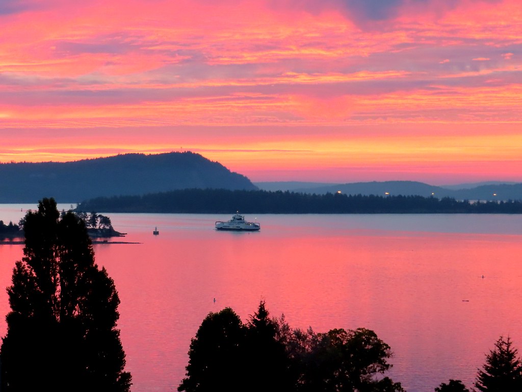 Paddle Board Nanaimo: 5 Fun Spots to Check Out