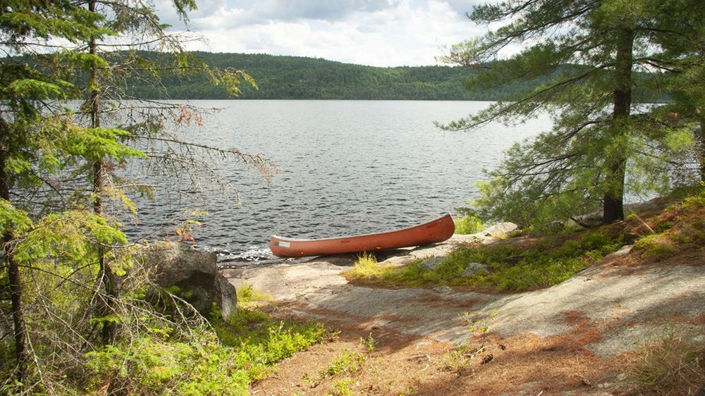 Discover the 10 Best Swimming Spots in Ontario