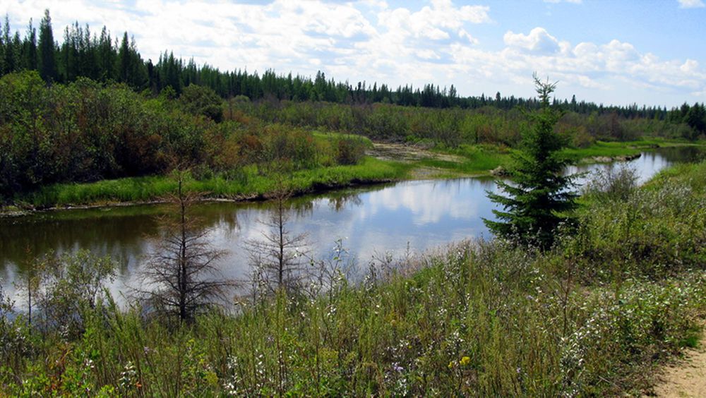10 Best Candle Lake Activities to Unwind