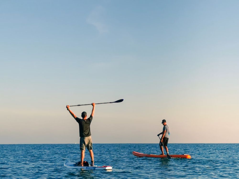 What Muscles Does Paddle Boarding Work?