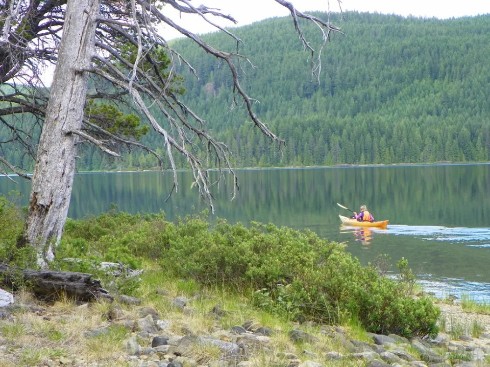 Campbell River Kayaking: 5 Best Spots for Nature Lovers