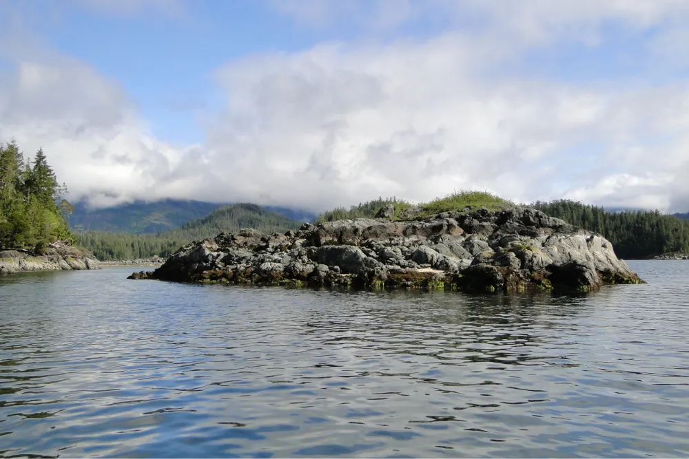 Paddle Boarding Tofino: Beginner’s Guide