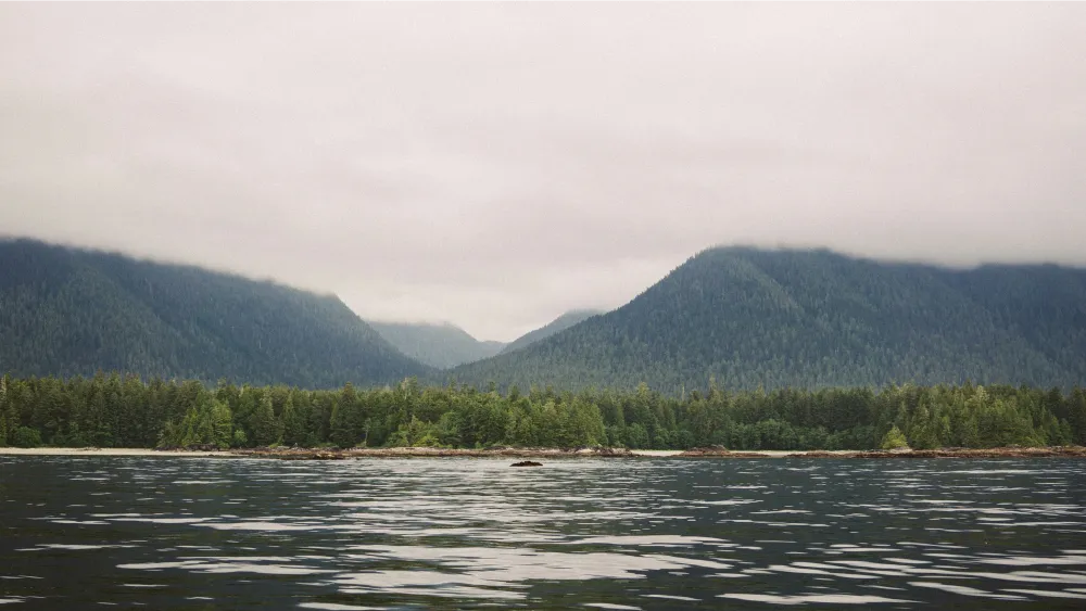 Explore 6 Top Tofino Kayaking Spots For A Dreamy Escape